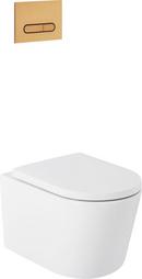 1.08 gpf/1.6 gpf Dual Flush Elongated Two Piece Toilet in Brushed Gold 