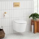 1.08 gpf/1.6 gpf Dual Flush Elongated Two Piece Toilet in Brushed Gold 