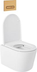 1.08 gpf/1.6 gpf Dual Flush Elongated Two Piece Wall Mount Toilet with Brushed Gold Hardware 