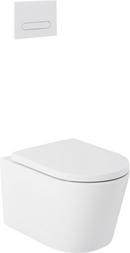 1.08 gpf/1.6 gpf Dual Flush Elongated Two Piece Wall Mount Toilet with White Hardware 