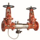 Watts Stainless Steel Stainless Steel Grooved 175 psi Backflow Preventer 
