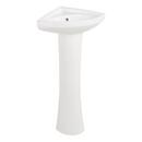 19-7/8 in. Rectangular Vitreous China Pedestal Bathroom Sink in White 
