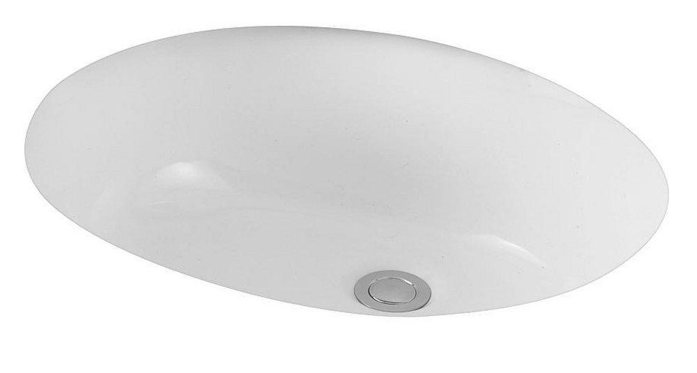 Briggs Plumbing Products Porcelain Undercounter Oval Lavatory Sink in