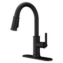 COLFAX PULLDOWN KITCHEN FAUCET IN MATTE BLACK 