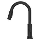 COLFAX PULLDOWN KITCHEN FAUCET IN MATTE BLACK 