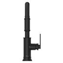 COLFAX PULLDOWN KITCHEN FAUCET IN MATTE BLACK 