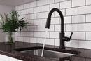 Pfister Matte Black Single Handle Pull Down Kitchen Faucet 