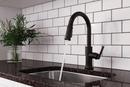 Pfister Tuscan Bronze Single Handle Pull Down Kitchen Faucet 