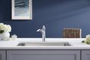 KOHLER Polished Chrome Single Handle Pull Out Kitchen Faucet 