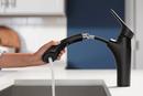KOHLER Vibrant Stainless Single Handle Pull Out Kitchen Faucet 