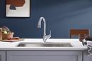 KOHLER Polished Chrome Single Handle Pull Down Kitchen Faucet 