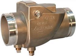 6 in. Stainless Steel Swing Check Valve