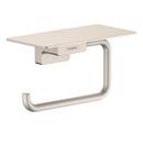 Wall Mount Toilet Tissue Holder in Brushed Nickel