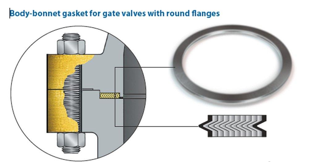 1 800# MONEL/GRAPHITE SPW GSKT FP 