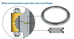 Gasket 1 in. Mineral and Nickel Alloy Valve Repair Part