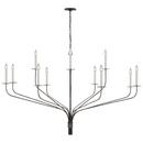Visual Comfort & Co. Signature Aged Iron 60 x 35-1/2 in. 5.5W 12-Light 1-Tier Traditional Chandelier 