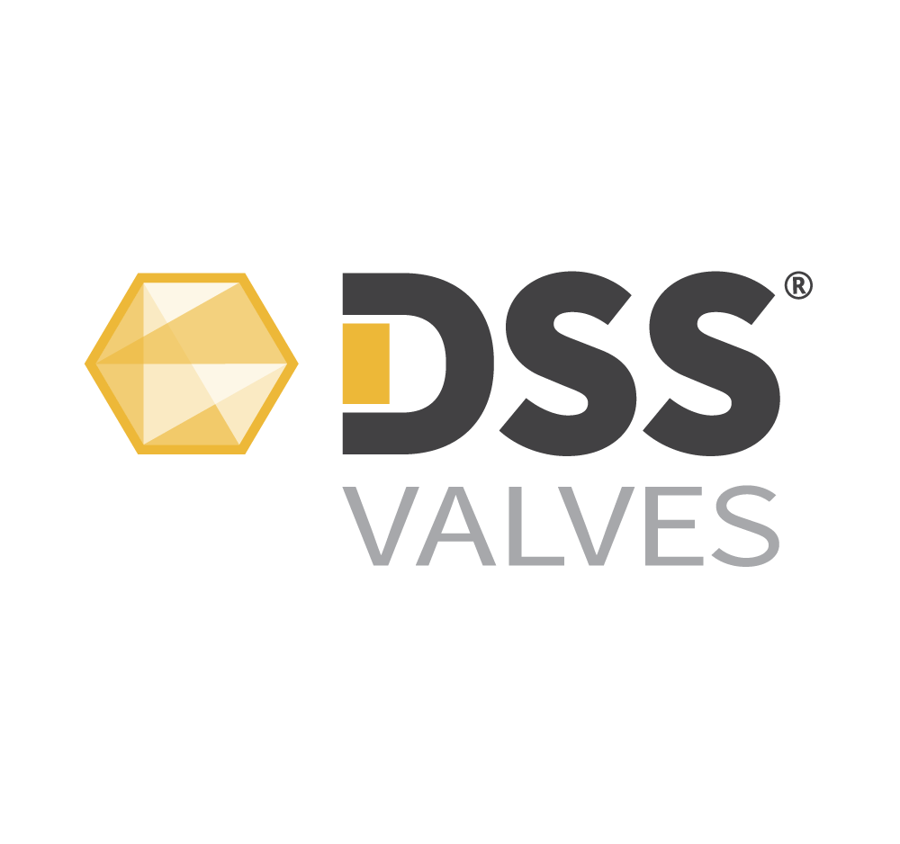 DSS Logo