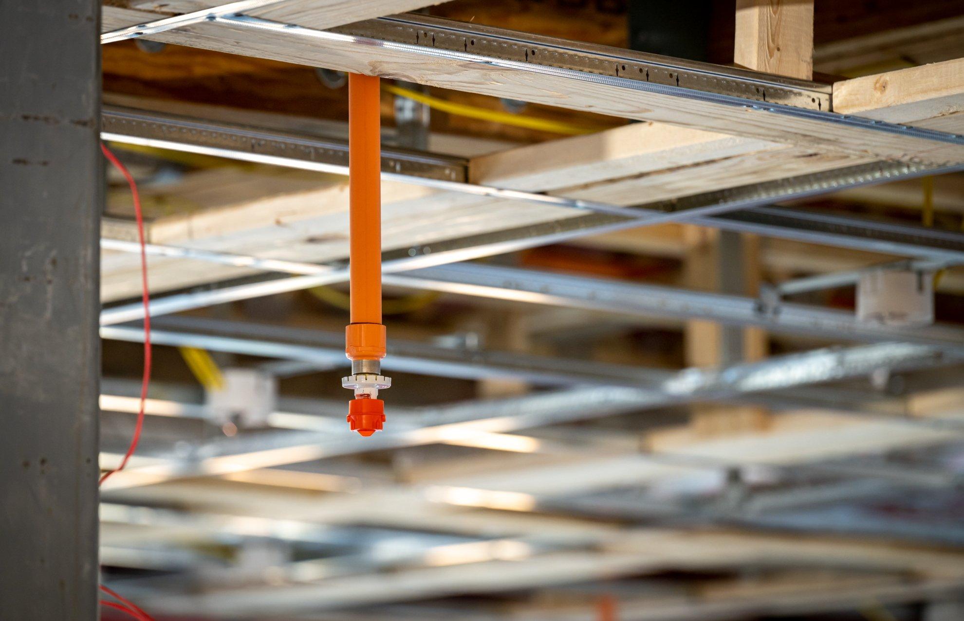 A fire sprinkler head hangs from a ceiling.