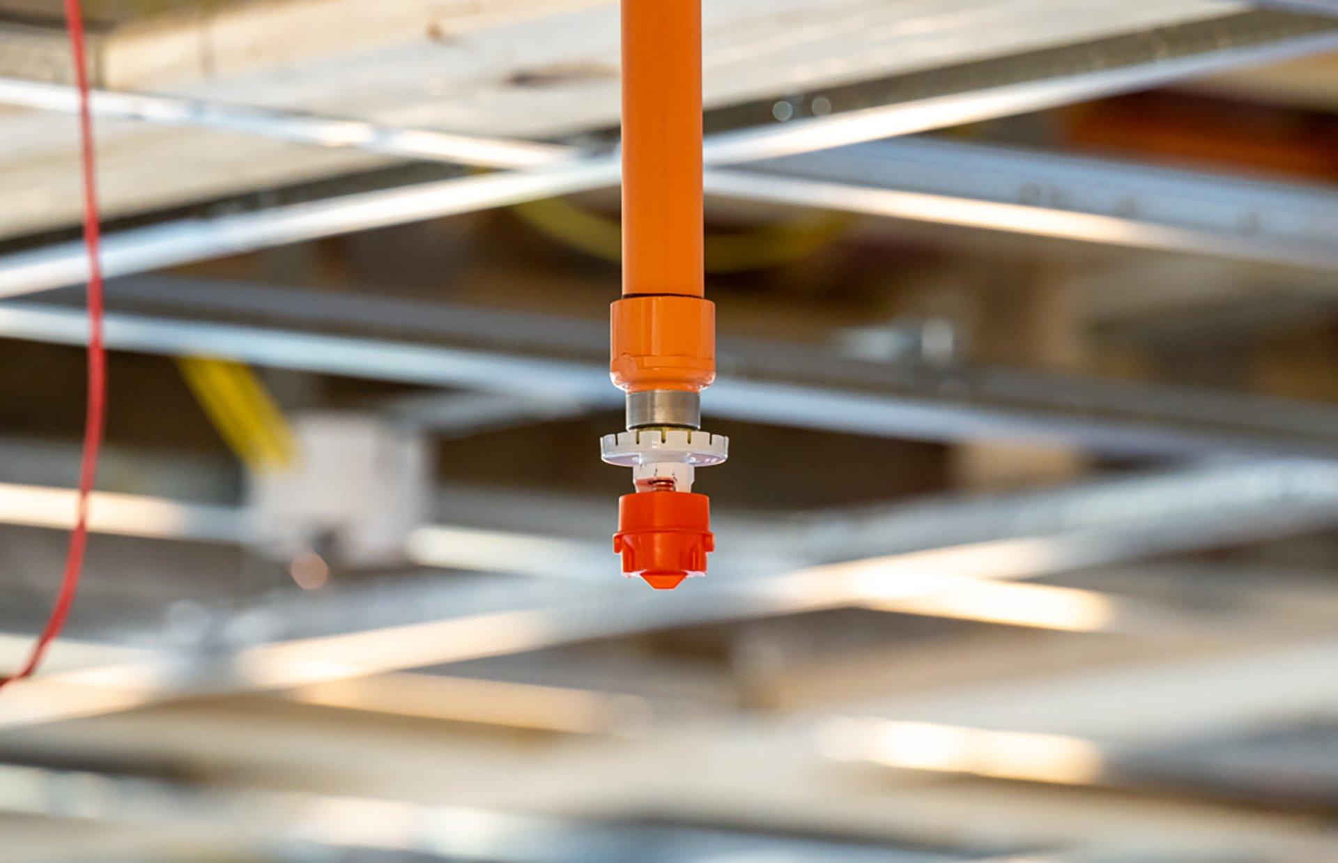 A fire sprinkler head hangs from a ceiling.