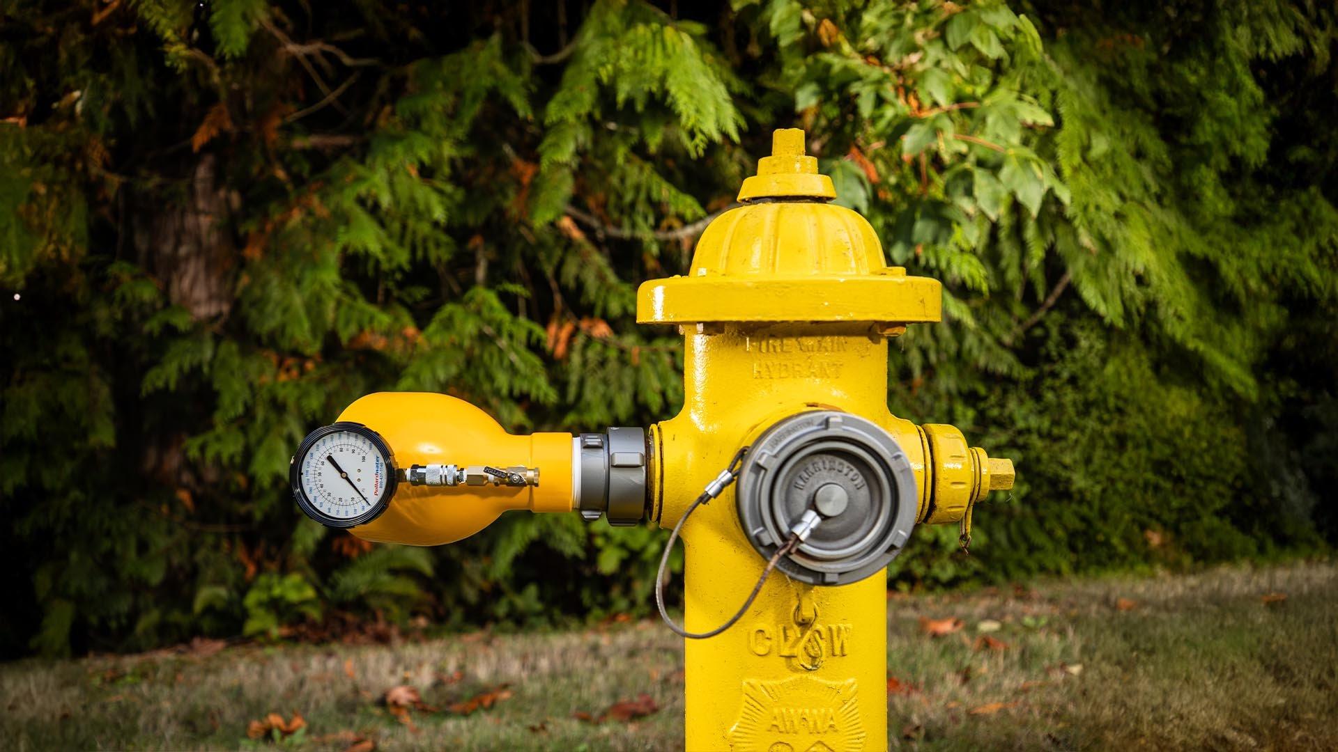 Lifestyle image of yellow fire hydrant against backdrop of trees.