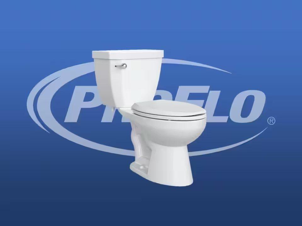 A two-piece residential toilet with the PROFLO logo behind it.