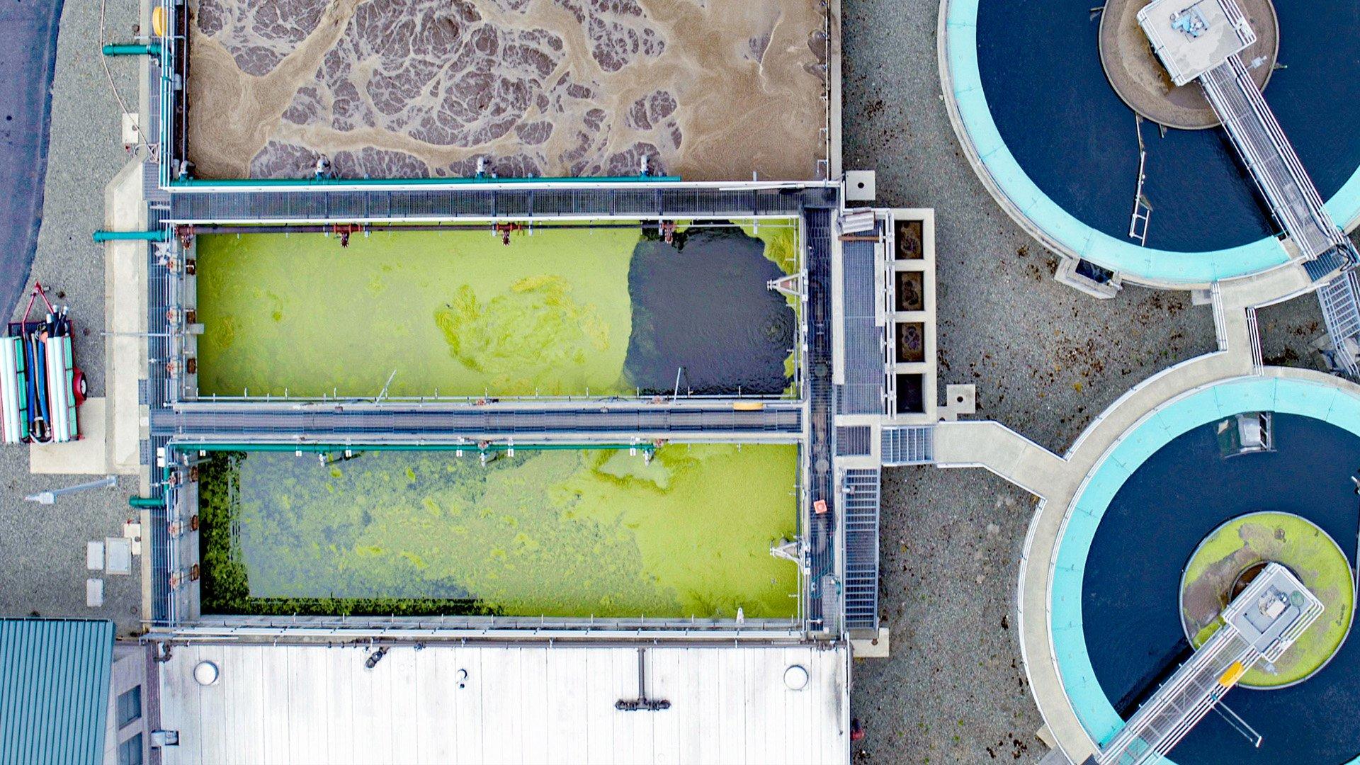 Settling pond in a water treatment facility