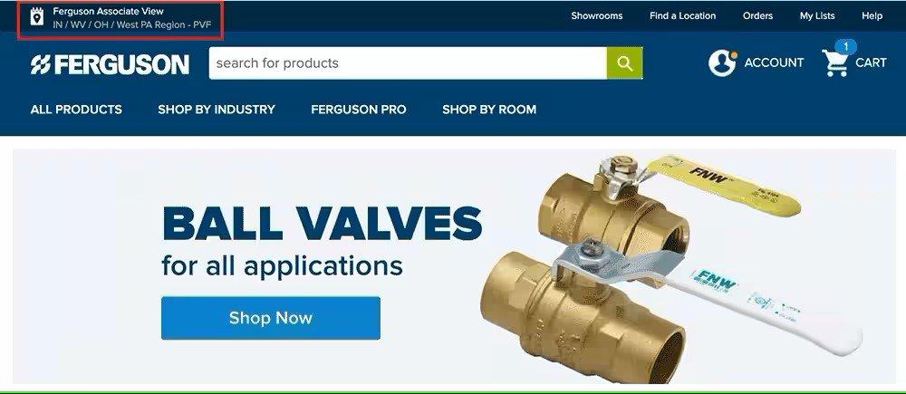 View of ball valves category page with Ferguson Associate View at the top left outlined in red.